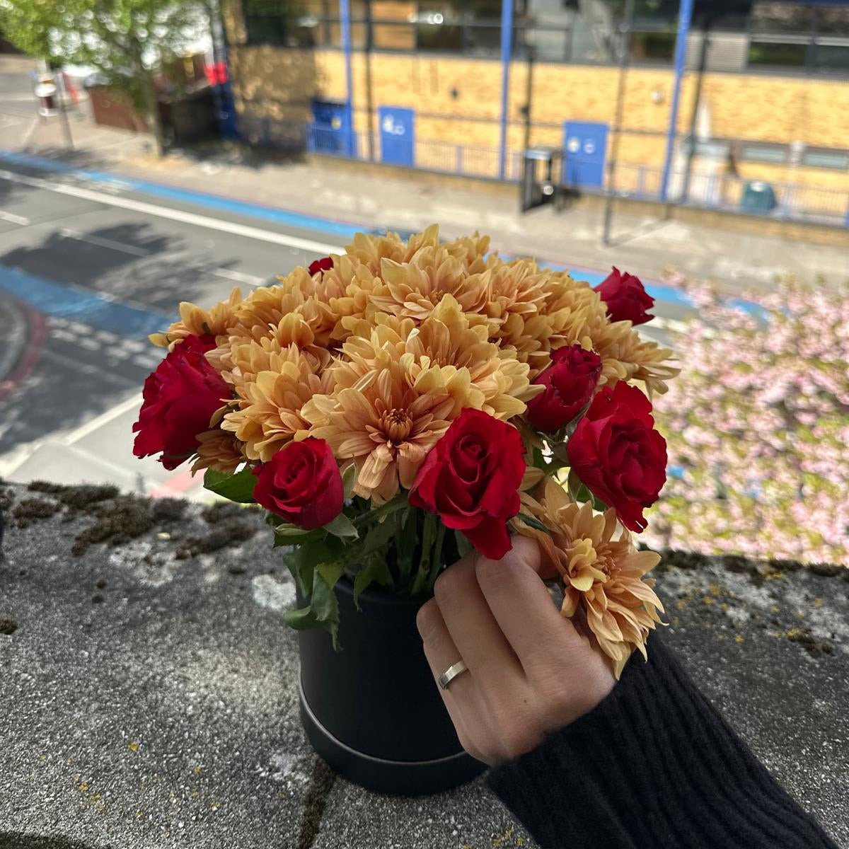 Scarlet Gold