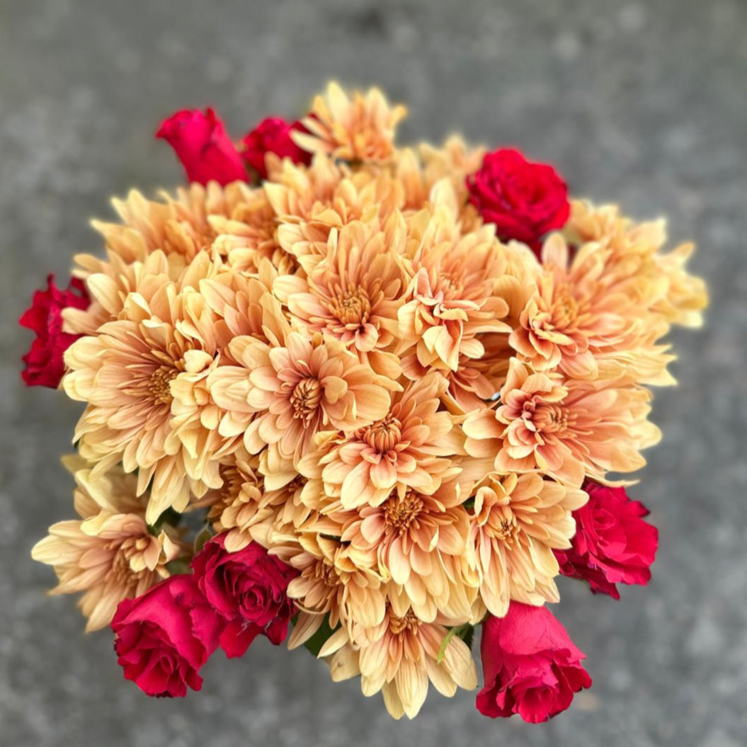 Scarlet Gold