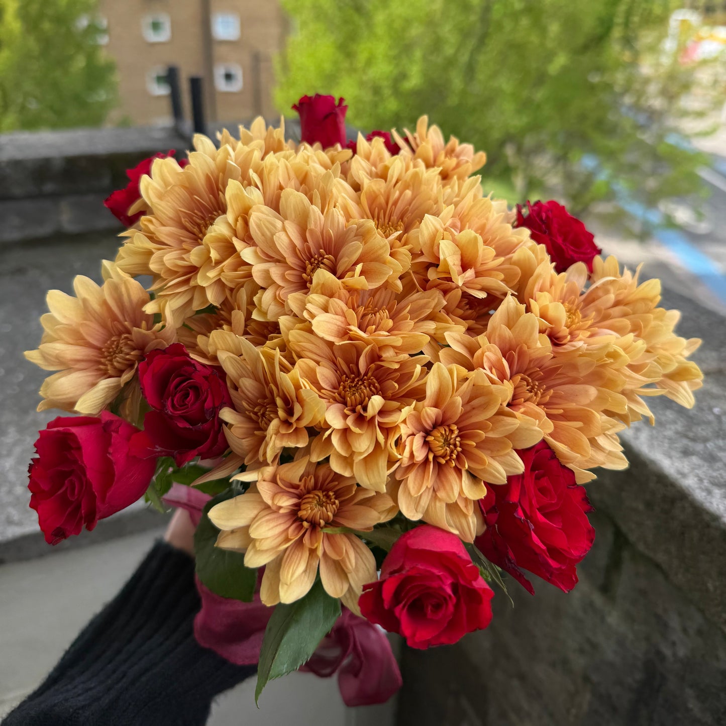 Scarlet Gold