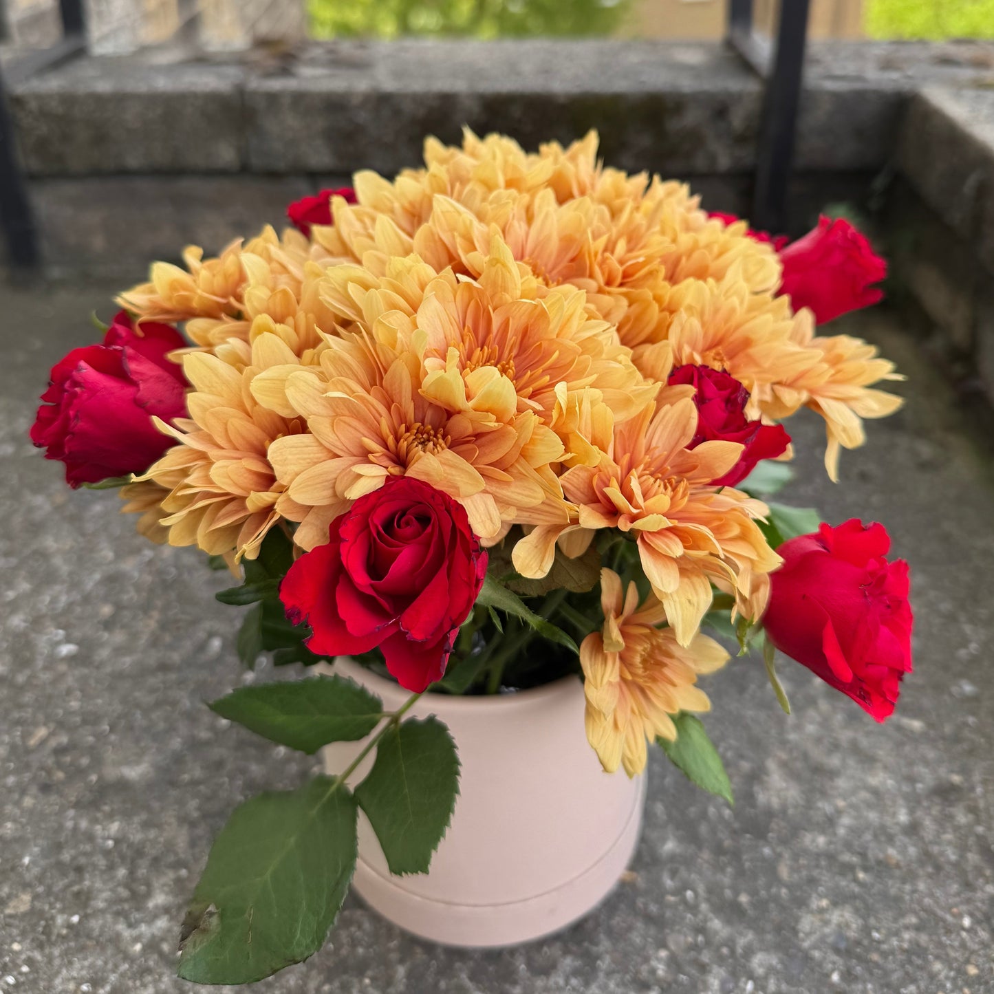 Scarlet Gold