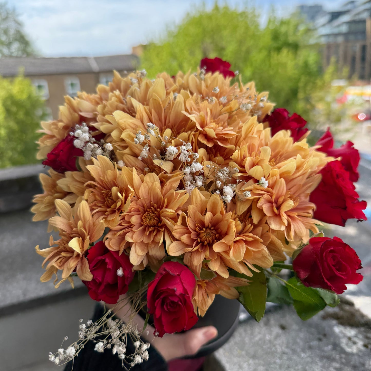 Scarlet Gold